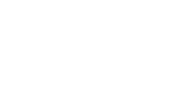 BradBird